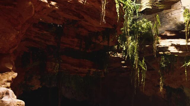 Light shines through a cave opening. Green plants grow on the rocky walls. The scene shows natural rock shapes and contrast between light and shadow.