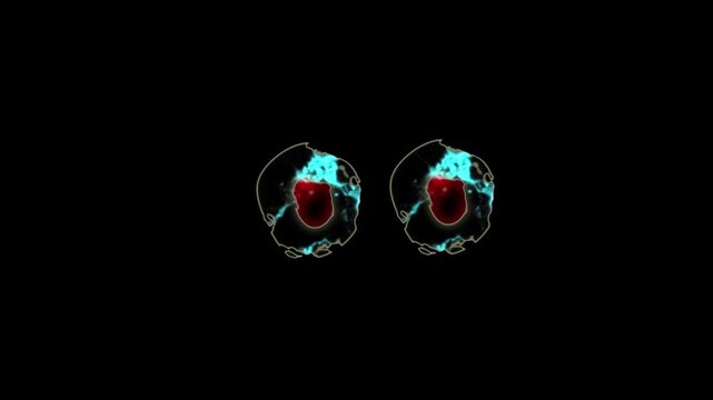 Abstract biological cell division with red core on black. Scientific abstract biological cell division for medical school presentation. Tech abstract cell division.
