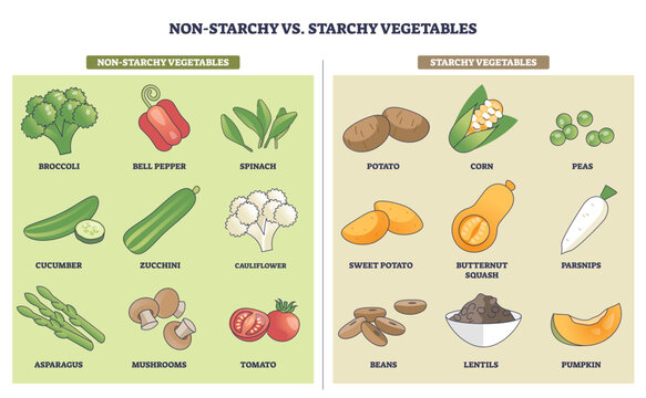 Non-starchy vs starchy vegetables chart contrasts carb groups for smart meal planning, broccoli, potato, and corn illustrated to compare choices. Outline diagram