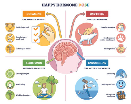Happy hormone dose guide showing dopamine, oxytocin, serotonin, endorphins boosting mood, main objects, brain, checklist, hugging hands. Outline diagram