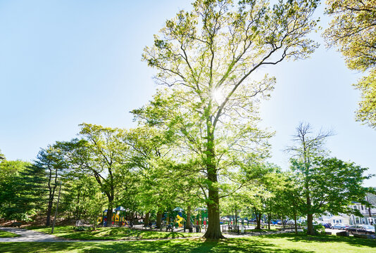 Playground in Franklin park in Boston, Massachusetts, New England, United States