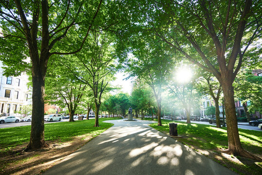 Commonwealth Avenue Mall in Boston, featuring historic brownstones and a tree-lined walkway, Boston, Massachusetts, New England 