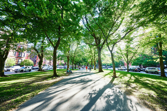 Commonwealth Avenue Mall in Boston, featuring historic brownstones and a tree-lined walkway, Boston, Massachusetts, New England 