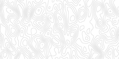 Modern landscape backdrop with subtle gray topography contour lines, seamless geographic mountain relief, white wave paper texture and abstract geometric cartography map grid. © Noor Al Barakah