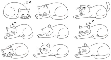 Floral ornament with sleeping cats colorful vector illustration on white background © JOHIRUL_STUDIO