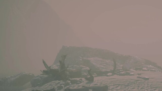 Fog surrounds a rocky area by the water early in the morning. The scene shows the calmness of the landscape with soft light filtering through the mist.