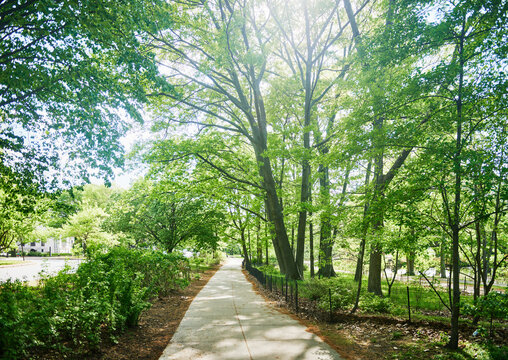 Walkway through Back Bay Fens area, Boston, Massachusetts, New England, United States