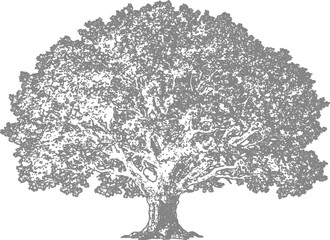 Fototapeta premium Detailed cad tree illustration vector artwork for design and engineering projects