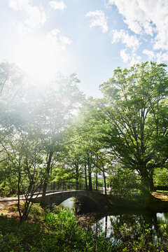 the Back Bay Fens footbridge crossing the Muddy River in Boston, Massachusetts
