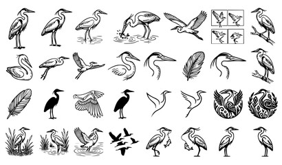 Fototapeta premium Heron and Egret Bird Line Icon Set Featuring Fishing Waterfowl, Flying Wildlife, Nesting Pairs, Wetland Marsh Birds, Feathers, and Nature Logo Vectors