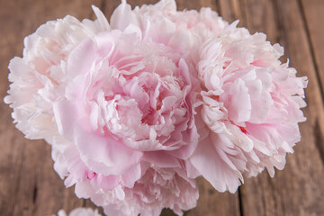 A bouquet of lush, delicate pink peonies © Olga Tkacheva