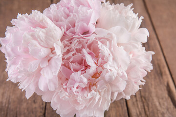A bouquet of lush, delicate pink peonies © Olga Tkacheva