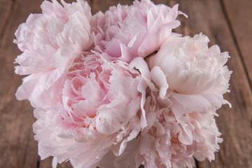 A bouquet of lush, delicate pink peonies © Olga Tkacheva