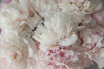 A bouquet of lush, delicate pink peonies © Olga Tkacheva