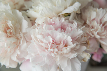 A bouquet of lush, delicate pink peonies © Olga Tkacheva