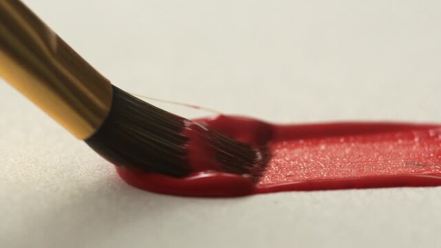 Close-up of brush bristles on paper drawing a red line with paint, oil or gouache, concept of leisure and hobby