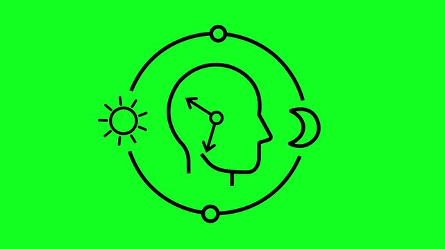 Circadian health line animation on green background. Sleep wake cycle regulation. Circadian health human head integrates clock and day night cycle. Suitable for health and wellness concepts.