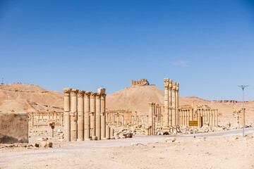 Fototapeta premium Palmyra Ruins Colonnade and Temple Syria