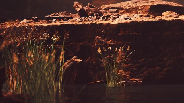 A rock formation stands near a body of water. Tall plants grow along the shoreline. The setting sun casts a warm glow over the landscape, creating a simple and natural scene.