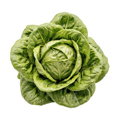 Fototapeta premium A fresh head of green romaine lettuce with crisp, layered leaves, viewed from above, isolated on a white background, for food