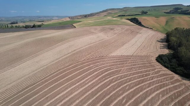 Campi agricoli del sud Italia