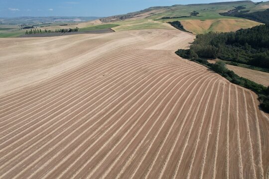 Texture geometriche di campi agricoli