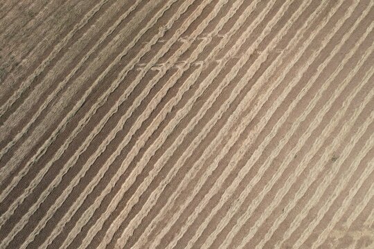 Texture geometriche di campi agricoli