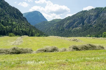 Heu auf einer Wiese im Berchtesgadener Land © ThomBal