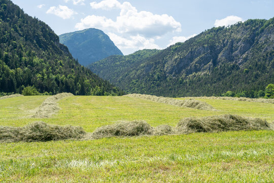 Heu auf einer Wiese im Berchtesgadener Land