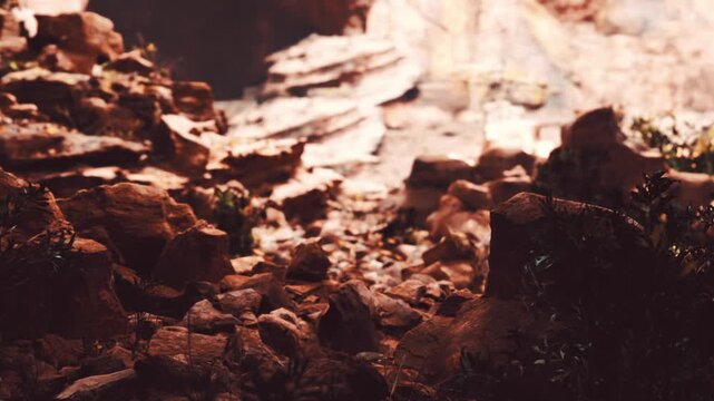 The scene shows rough rocks and small plants in a remote outdoor area. Sunlight highlights the textures of the rocks and foliage. This natural landscape captures the essence of a wild environment.