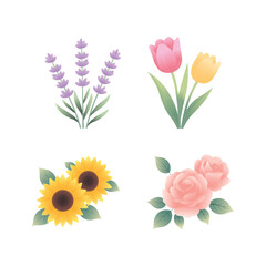 Obraz premium Gradient floral elements collection with lavender tulips sunflowers and roses on white background