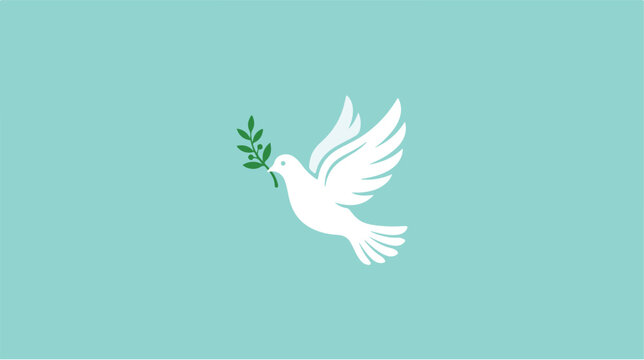 White dove holding olive branch peace.