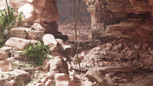 A canyon scene shows rocky formations with scattered stones and some plants. A few long sticks hang from the rocks above, creating an interesting view in the natural landscape.