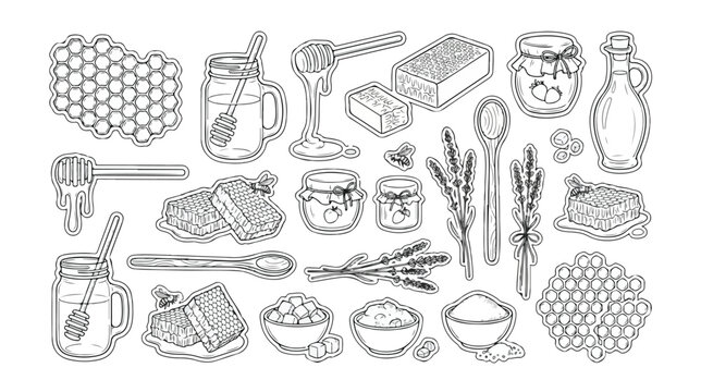 Natural Honey and Bee Products Vector Set, Organic Apiculture Elements, Honeycomb, Jars, and Lavender Sprigs, Hand-Drawn Outline Illustrations for Health and Wellness Designs