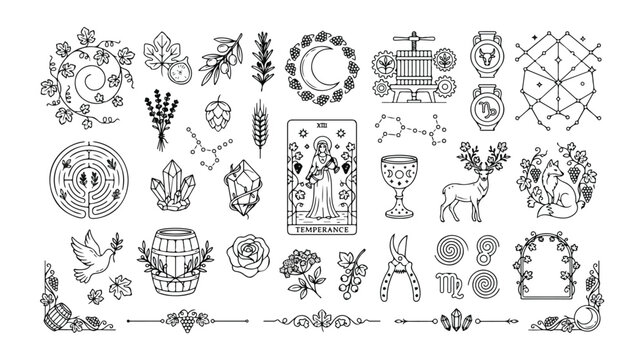 Mystical occult line art vector icon set, celestial astrology and witchcraft symbols, esoteric spiritual design elements, magic tarot card illustrations, vintage botanical and animal graphics