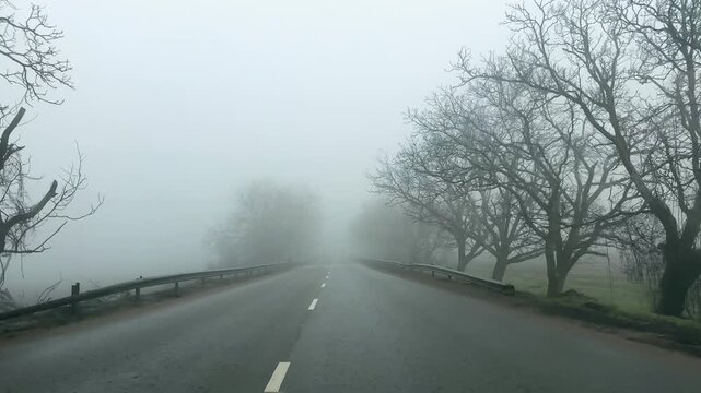 Eerie Foggy Drive on Rural Road in Romania, Bare Trees Lining Path