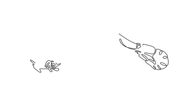 Animated self drawing of continuous line draw of   Shrimp Line. Logo in Line Art. Full length one line animation. 4K	