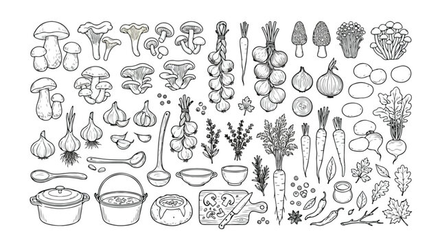 Hand-drawn vintage cooking ingredients vector set, rustic kitchen food elements, organic vegetables and fungi, black and white line art illustration for culinary design projects