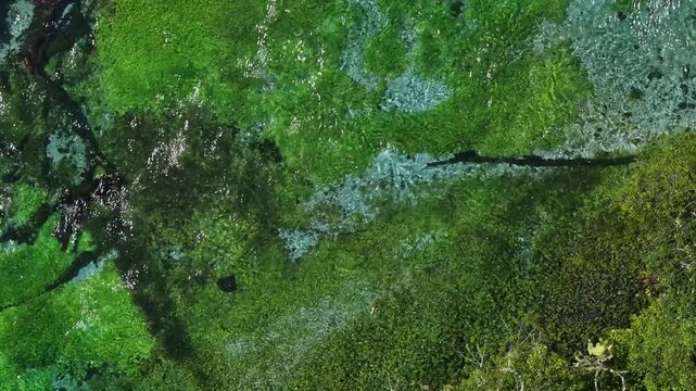 Aerial view of the Blue Eye natural spring with crystal clear turquoise water and lush green underwater vegetation in Finiq, Vlore County, Albania.