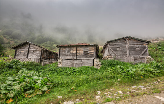 Traditional weathered wooden huts surrounded by lush green foliage under dense mountain mist in Komati Highland, Rize, Turkey