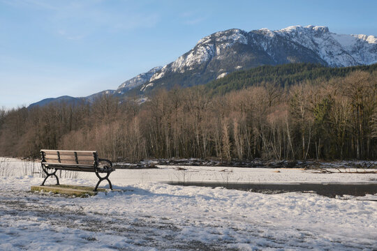 Brackendale Eagle Run Vista Point along the Squamish River during a winter season in Squamish, British Columbia, Canada