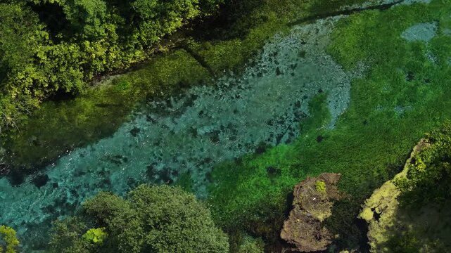 Aerial view of the Blue Eye spring with crystal clear turquoise water surrounded by lush green forest and dense vegetation in Finiq, Vlore County, Albania.