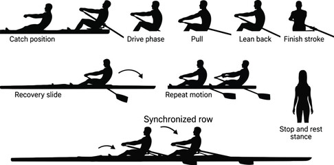 Obraz premium Rowing stroke phases illustrated in black and white Vector