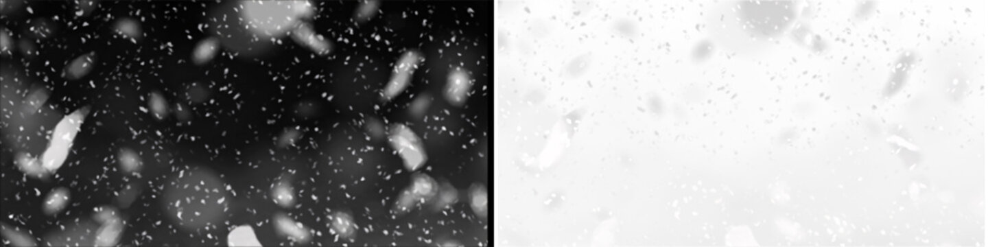 Winter snowfall effect with transparent background for motion graphics overlay featuring soft blurred white flakes.