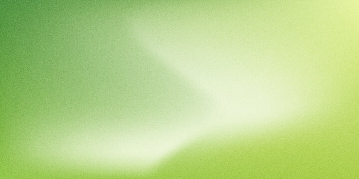 Nature gradient backdrop with bright sunlight. Abstract green blurred background.