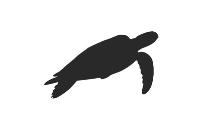 Fototapeta premium Sea turtle silhouette swims gracefully through the open water as a detailed marine life illustration.