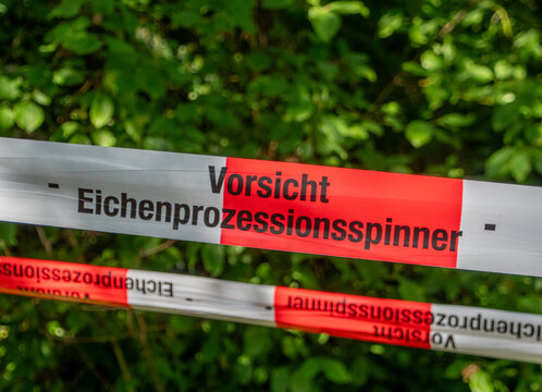 Warning Tape for Oak Processionary Moth Infestation in Hasenheide Park Berlin Germany