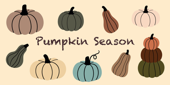 Set of hand drawn pumpkins and squashes with text Pumpkin Season for autumn invitations greeting cards and thanksgiving templates
