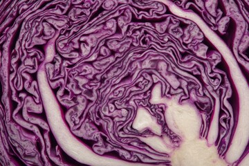 Obraz premium Close-up cross-section of a vibrant purple cabbage revealing intricate, layered texture