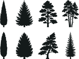 Obraz premium Collection of evergreen coniferous tree silhouettes including pine fir and cypress isolated on white background